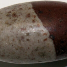 Shiva lingam